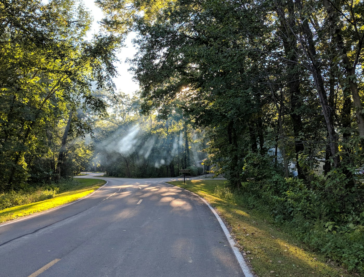 Rural Illinois road stretching through fields and tree canopy
